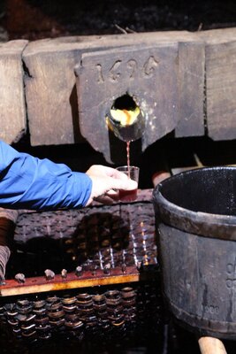 Mit Torkelbaum Wein wie vor 385 Jahren produzieren KW 42